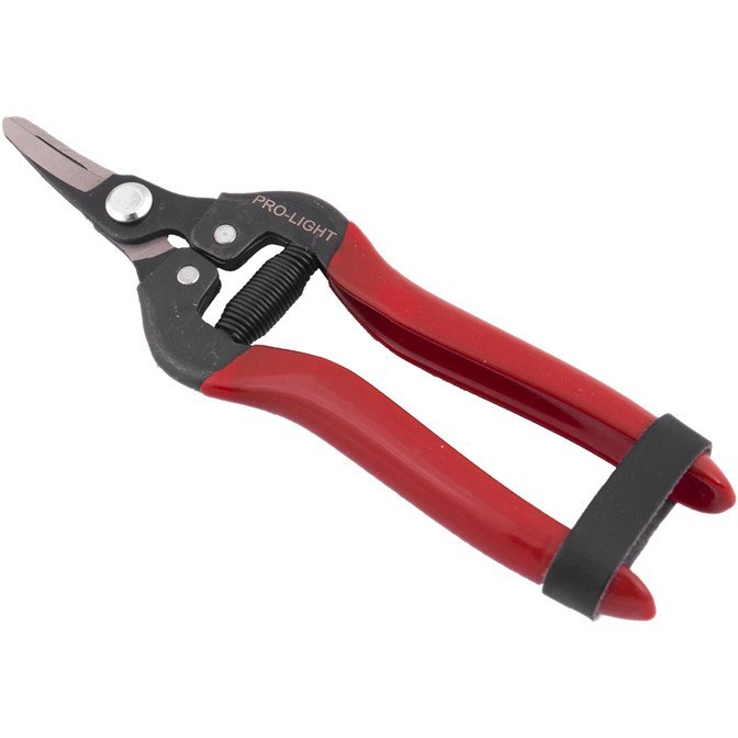 قیچی میوه چینی لایت مدل JH-803